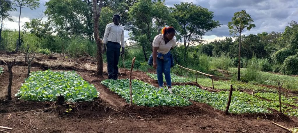 As axudas de cooperación exterior da Deputación da Coruña melloran a produción agrícola, a alimentación e o emprego xuvenil en Mozambique