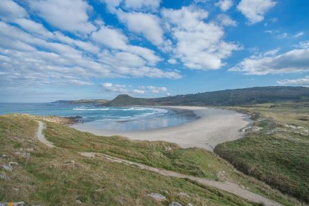 A Deputación impulsa na Capela a sensibilización ambiental entre o alumnado de Primaria cun obradoiro sobre aves nocturnas