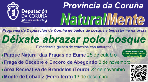 A Deputación instala en Balarés unha nova rede de refuxios para aves e morcegos