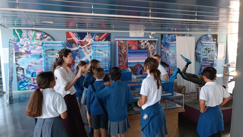 Alumnos/as do Colexio Nosa Señora do Carme de Fisterra asisten a unha visita guiada por persoal da CEMMA á expo Golfiños na Proa, que a Deputación da Coruña exhibe na localidade