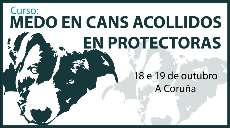 Curso, Medo en cans acollidos en protectoras (A Coruña), 18 e 19 de outubro de 2025. Próximamente abrirase o prazo de inscrición.