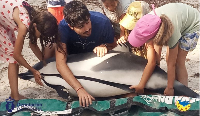 Actividade financiada pola Deputación da Coruña_Formación e divulgación sobre asistencia e estudo os mamíferos mariños. Actividade de simulacro na praia da Magdalena (Cedeira), orientada a alumnado de primaria (Entidade financiada CEMMA)