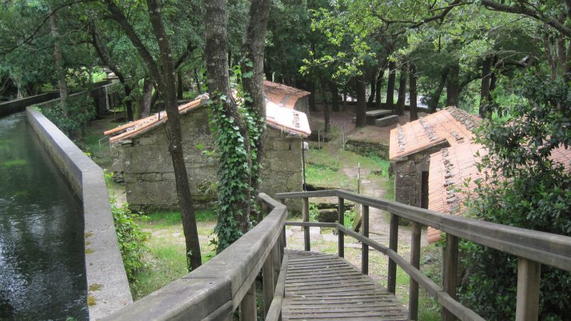 IMG_0156.JPG
