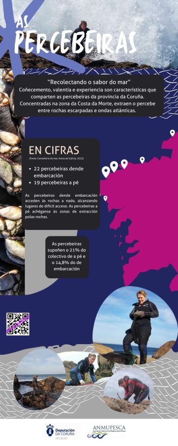 Percebeiras.jpg