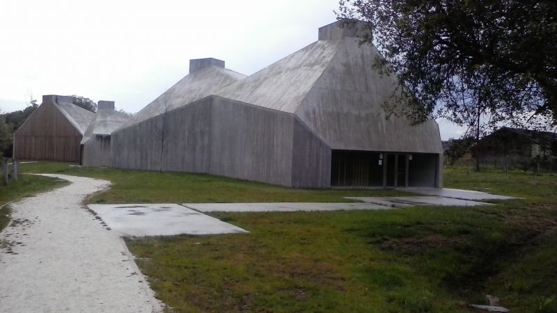 CAM00509.jpg