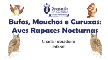 Bufos, mouchos e curuxas: aves rapaces nocturnas