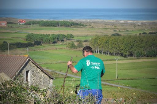 A Deputación destina 1,5 millóns de euros á formación para o emprego de 313 persoas no rural coruñés