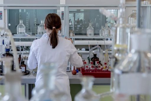 A Deputación inviste este ano 450.000 euros en bolsas para apoiar proxectos de investigación e perfeccionamento de estudos artísticos de 45 mozas e mozos da provincia