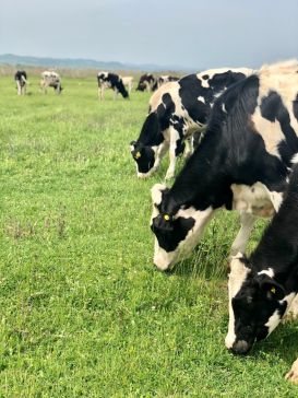 A Deputación destina 200.000 euros en axudas para actividades das organizacións profesionais agrarias e labregas da provincia