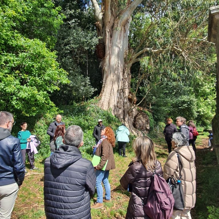 A Deputación pon en valor a riqueza botánica dos xardíns do Pazo de Mariñán coa primeira Ruta das Árbores Monumentais