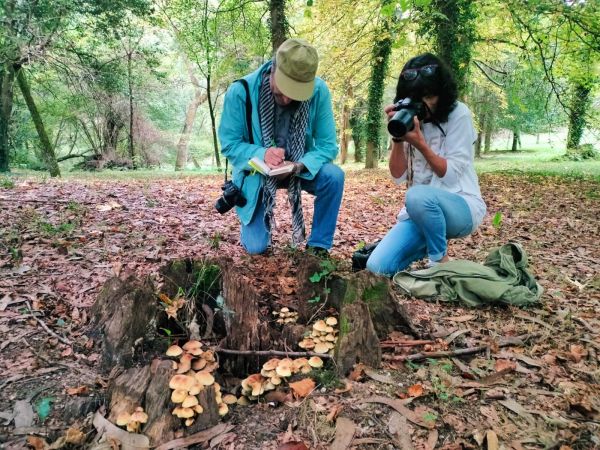 Os expertos da Asociación Micolóxica Coruñesa, Fernando Ramos e Mónica Saavedra, preparan a I Xornada Micolóxica no Pazo de Mariñán que organiza a Deputación da Coruña o 11 de outubro de 2025.