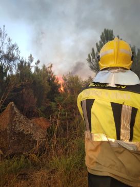O Consorcio Provincial Contraincendios da Coruña mobiliza aos seus bombeiros para apoiar as labores de extinción dos incendios en Ourense