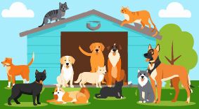 PROTECTORAS ACTIVIDADES DP0035