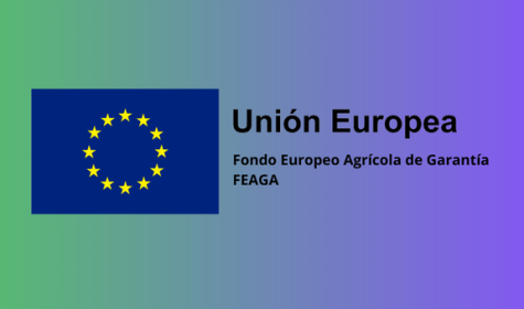 Proxectos de investigación aplicada e innovación no sector apícola - Data límite: 18/12/2025