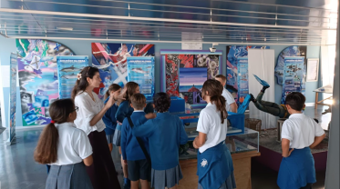 A Deputación da Coruña organiza visitas guiadas a colexios para ver unha grande exposición sobre os cetáceos de Galicia
