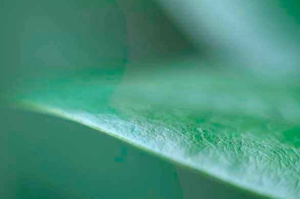 Medioambiente